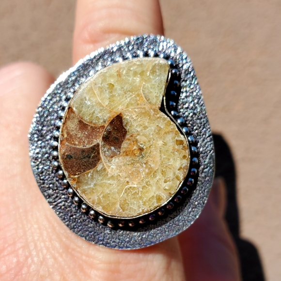 New Unique Oversized Ammonite 925 Silver Ring. - Picture 10 of 13